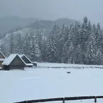 White Brook Luxury With Jacuzzi - Dolina Chocholowska - - Zakopane - Tatry Alpehytte