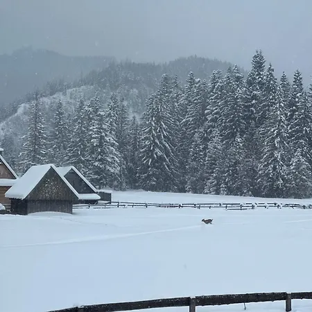 White Brook Luxury With Jacuzzi - Dolina Chocholowska - - Zakopane - Tatry Dağ evi