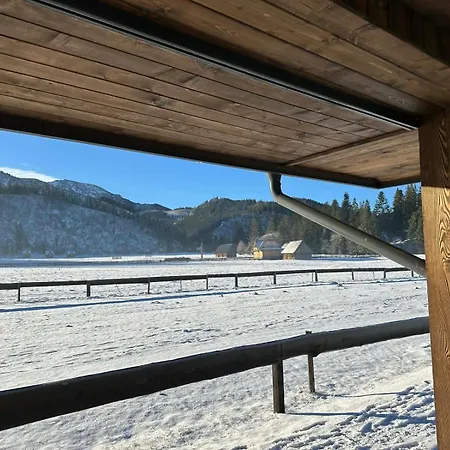 Chalet White Brook Luxury With Jacuzzi - Dolina Chocholowska - - Zakopane - Tatry Koscielisko