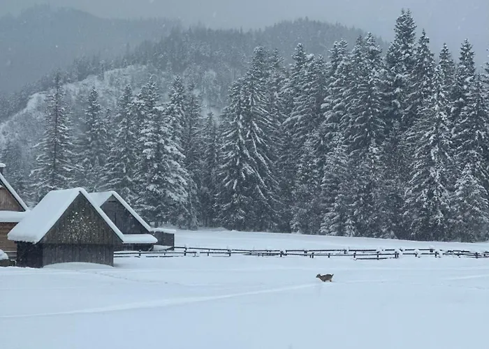 White Brook Luxury شاليه